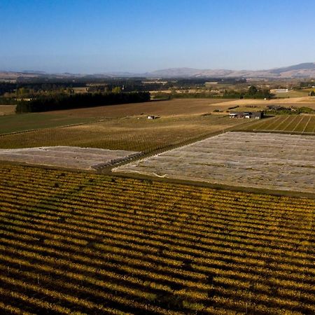 Romantic Vineyard Getaway Waipara Ngoại thất bức ảnh