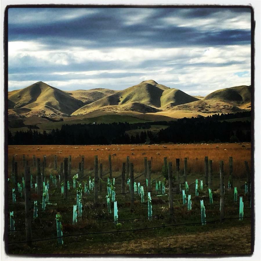 Romantic Vineyard Getaway Waipara Ngoại thất bức ảnh