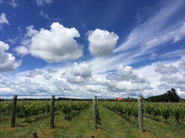 Romantic Vineyard Getaway Waipara Ngoại thất bức ảnh