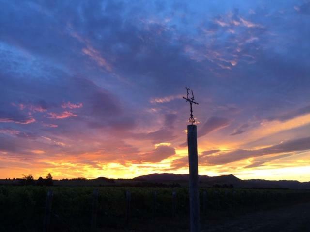 Romantic Vineyard Getaway Waipara Ngoại thất bức ảnh