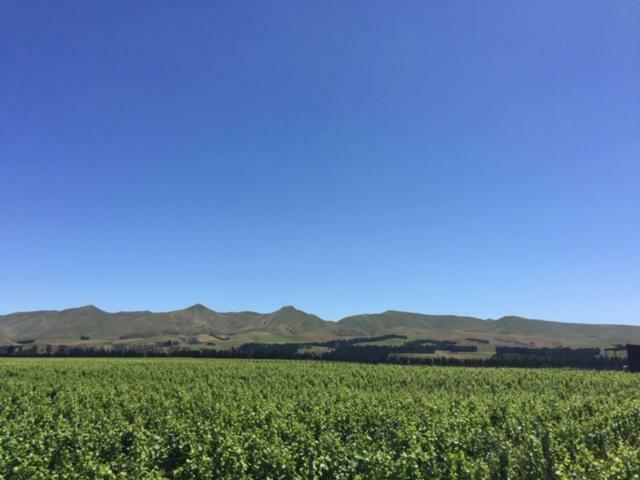 Romantic Vineyard Getaway Waipara Ngoại thất bức ảnh