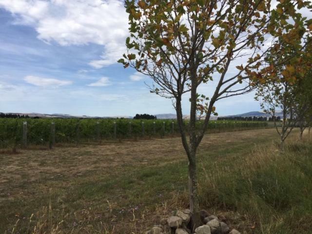 Romantic Vineyard Getaway Waipara Ngoại thất bức ảnh